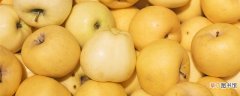【品种】瑞雪苹果品种介绍 瑞雪苹果品种的介绍
