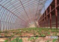 【蔬菜】大棚蔬菜种植技术，反季节栽培是温室蔬菜栽培中最常用的技术之一