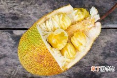 【菠萝蜜】菠萝蜜怎么种？菠萝蜜种植方法