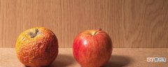 【多】烂苹果埋土里多久能变成肥料 烂掉的苹果怎样做肥料