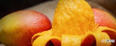 【芒果核】芒果核怎么发芽栽种 芒果核如何发芽栽种