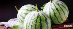 【种植方法】西瓜的种植方法和管理技术 西瓜的种植方法以及管理技术