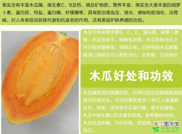 【夏季】如何选购木瓜？夏季多吃木瓜功效有哪些？