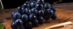 【品种】马尔贝克葡萄品种特点 马尔贝克葡萄品种特点是什么
