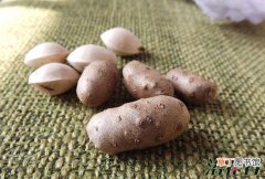 【盆栽】山药豆盆栽种植方法有哪些？