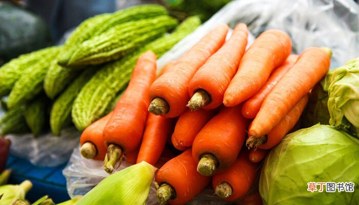 【播种】萝卜是怎么传播种子的 萝卜怎么传播种子的