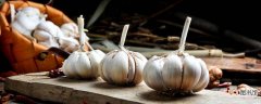 【月份】大蒜11月份还能种吗 大蒜的最佳种植时间是什么