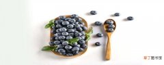 【品种】绿宝石蓝莓苗品种介绍 蓝莓绿宝石品种怎么样