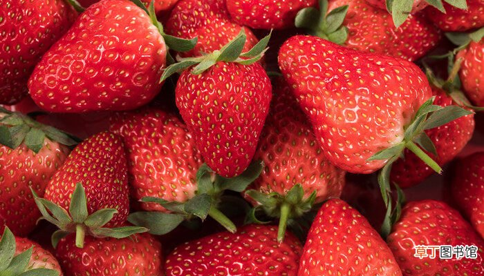 【种植方法】草莓的种植 草莓的种植方法