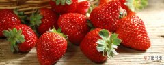 【叶子】草莓的叶子发黄的救治方法有哪些？