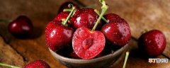【种类】温性水果有哪些种类？