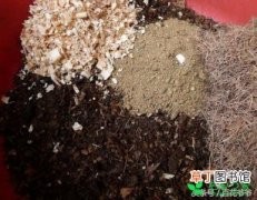 【常见】土壤配置常见材料有哪些？