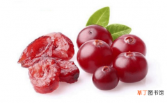 【蔓越莓】蔓越莓能治宫颈糜烂吗？有哪些说法？