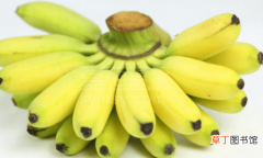 【营养】芭蕉营养价值有哪些？