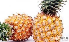 【方法】菠萝的除芽留芽方法技巧有哪些？