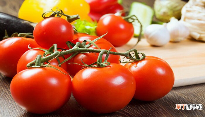 【种植】番茄种植技术和管理技术 西红柿栽培管理技术