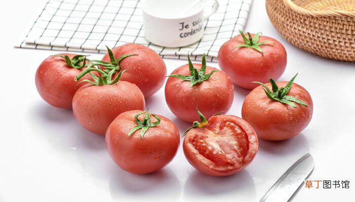 【种植】番茄种植技术和管理技术 西红柿栽培管理技术