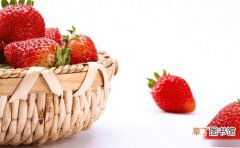 【植物】草莓高清大图！草莓植物图片大全！