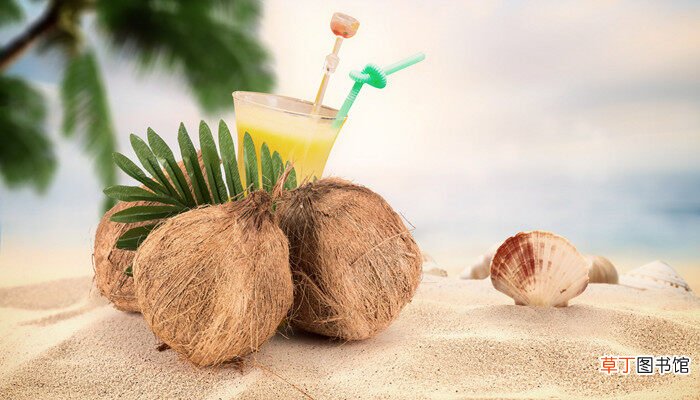 【植物】椰子是被子植物还是裸子植物 椰子是被子植物吗