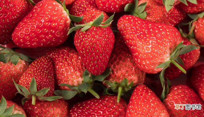【温度】草莓最低温度是多少能冻死 草莓最低多少度能冻死