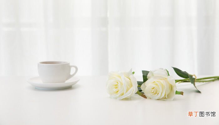 【白玫瑰】白玫瑰可以送老师吗 白玫瑰可以送给老师吗