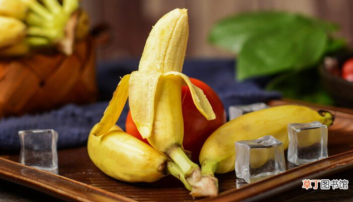 【香蕉】香蕉怎么种 香蕉如何种