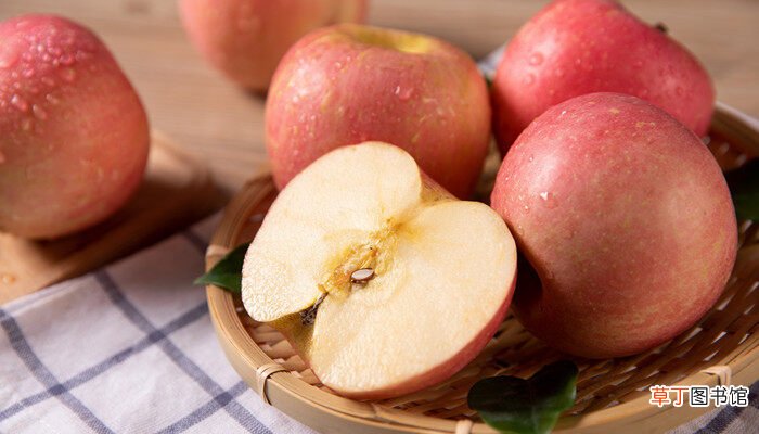 【苹果】树上的苹果能忍受零下几度 树上的苹果能忍受零下多少度