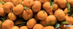 【品种】金秋沙糖桔品种介绍 金秋沙糖桔品种的介绍