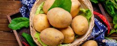 【生长】土豆生长期多少天收获 种土豆多少天收获