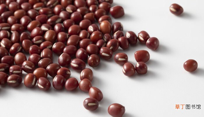 【多】红豆水培发芽一般要几天时间 红豆水培发芽一般要多久