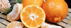 【起源】黄岩蜜橘栽培起源于什么时期 栽培黄岩蜜橘起源于什么时期