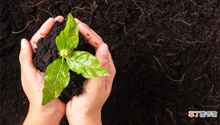 【方法】保护土壤的三种方法 保护土壤的办法
