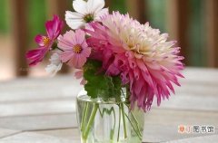 【花瓶】插花时花瓶和花的高度比例有哪些？