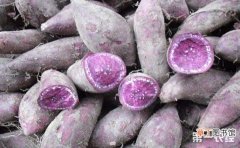 【方法】紫薯苗床管理方法有哪些？