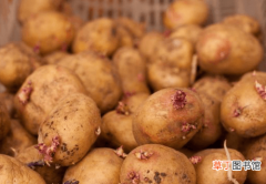 【腐烂】马铃薯黑胫病致缺苗断垄、块茎腐烂，减产30-50，如何有效防治