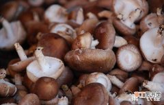 【栽培】冬季栽培香菇高产三措施有哪些？