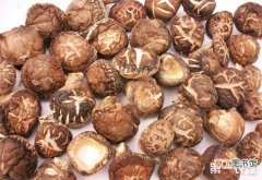 【香菇】香菇畸形的原因和解决方法有哪些？