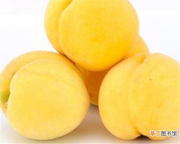 【桃】锦绣黄桃多少钱一斤 锦绣黄桃几月份成熟