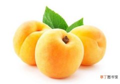 【桃】黄桃产地图片价格 黄桃的营养价值和功效与作用