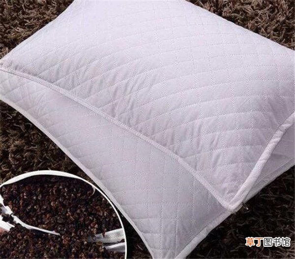 【功效】荞麦皮枕头的害处会长虫吗 荞麦枕头的功效与作用