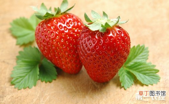 【高产】春季草莓高产管理技巧有哪些？