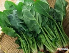 【豆腐】菠菜和豆腐能一起吃吗 菠菜的功效与作用