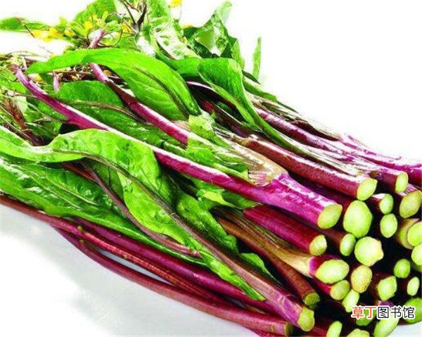【种植】红菜苔种植时间和方法 红菜苔种植注意事项