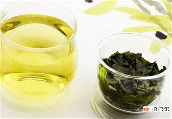 【红茶】铁观音属于什么茶类 铁观音是红茶还是绿茶