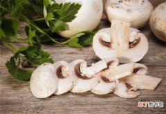 【区别】洋菇和口蘑区别 洋菇的营养价值