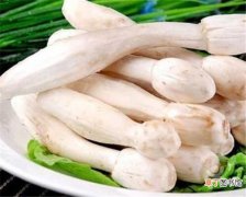 【营养】鸡腿菇怎么做好吃 鸡腿菇的家常做法和营养价值