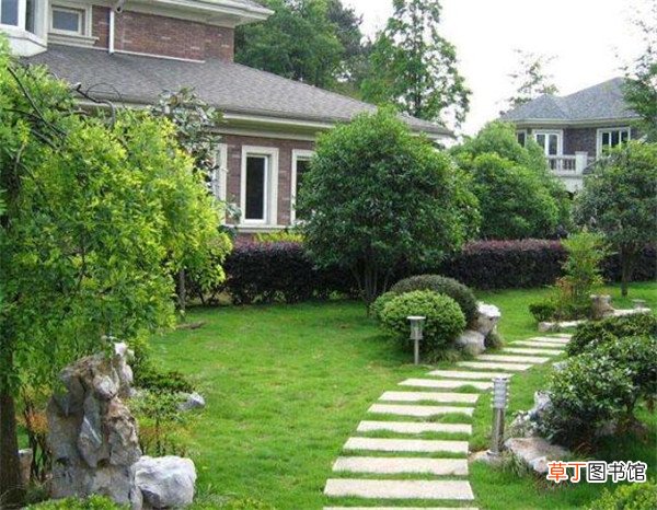 【树】别墅绿化种什么树好 小庭院绿化设计方案
