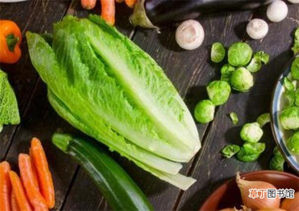 【种植】什么是有机蔬菜标准是什么 有机蔬菜种植技术
