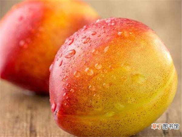 【吃】孕妇可以吃油桃吗 大棚油桃的热量高不高