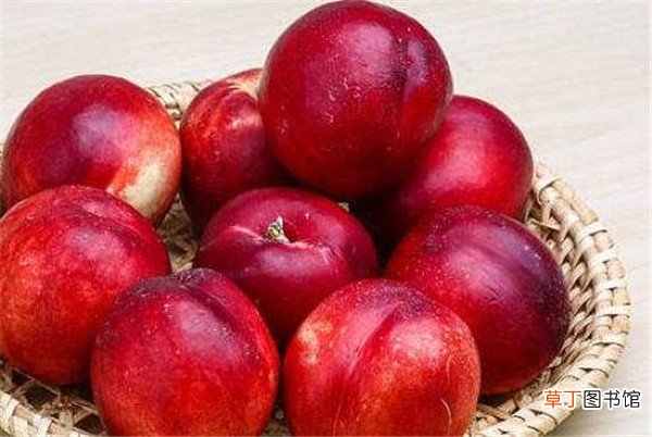 【图片】油桃图片品种大全 油桃价格多少钱一斤